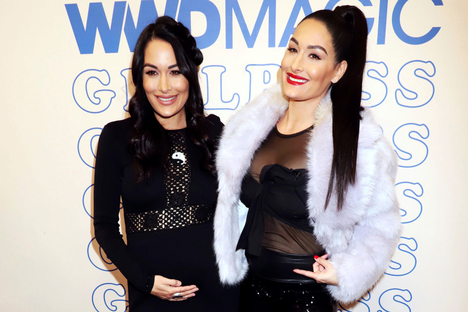 brie and nikki bella